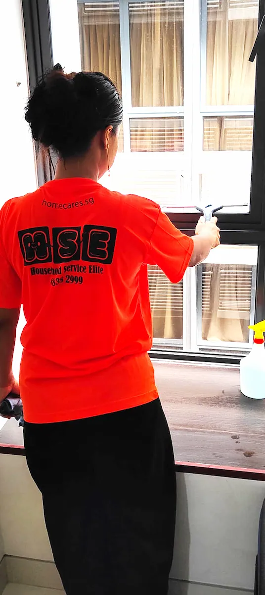 Spring Cleaning Service - Household Service Elite